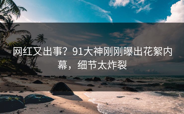 网红又出事？91大神刚刚曝出花絮内幕，细节太炸裂