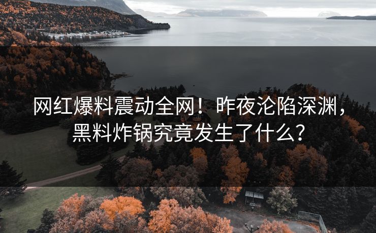 网红爆料震动全网！昨夜沦陷深渊，黑料炸锅究竟发生了什么？