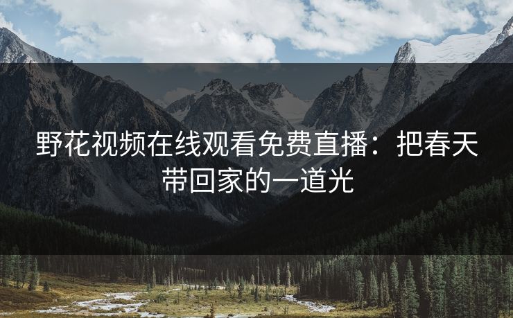 野花视频在线观看免费直播：把春天带回家的一道光