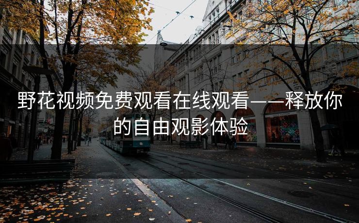野花视频免费观看在线观看——释放你的自由观影体验