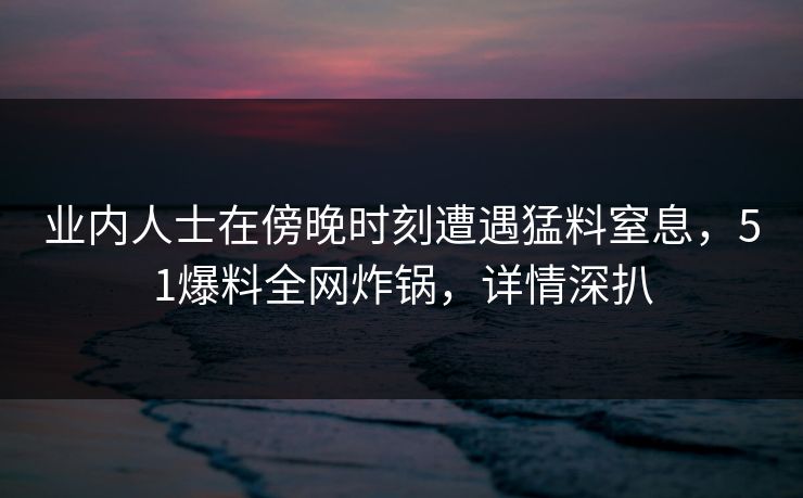 业内人士在傍晚时刻遭遇猛料窒息，51爆料全网炸锅，详情深扒
